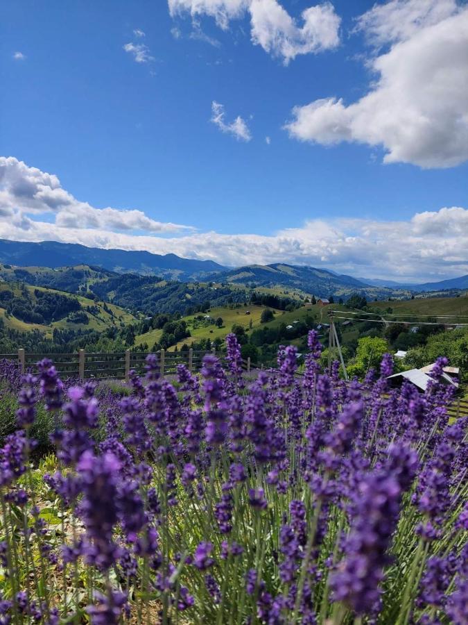 Lavender Valley Perekrestnoye Exterior photo
